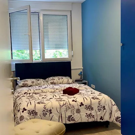 Daire Modern One Bedroom In The Center Of Belgrad
