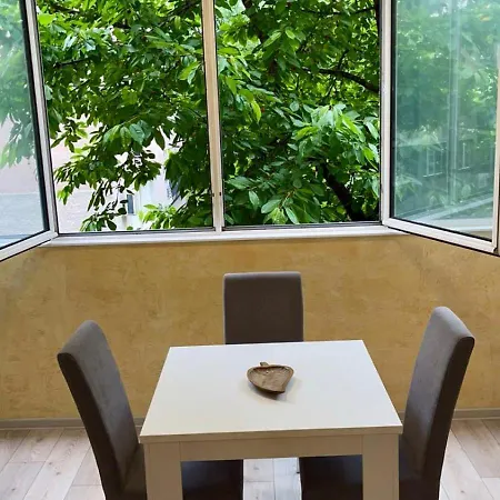Modern One Bedroom In The Center Of Apartment