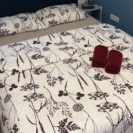 Modern One Bedroom In The Center Of *